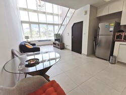 the-rochester-residences photo thumbnail #6